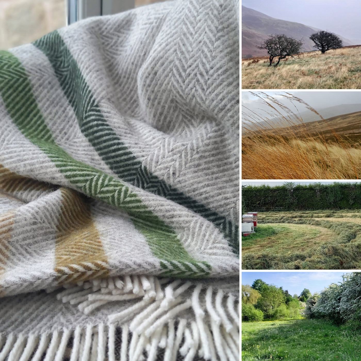 The Grassland Shetland wool throw